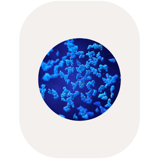 6.png__PID:bb8119fa-74e3-412d-a2f1-79b785249879