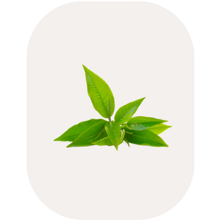 7.png__PID:8119fa74-e341-4de2-b179-b78524987975